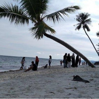 Pantai Palippis Pantai Palippis