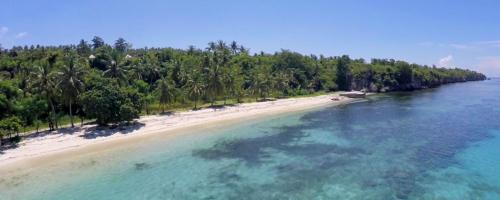 Pantai Palippis